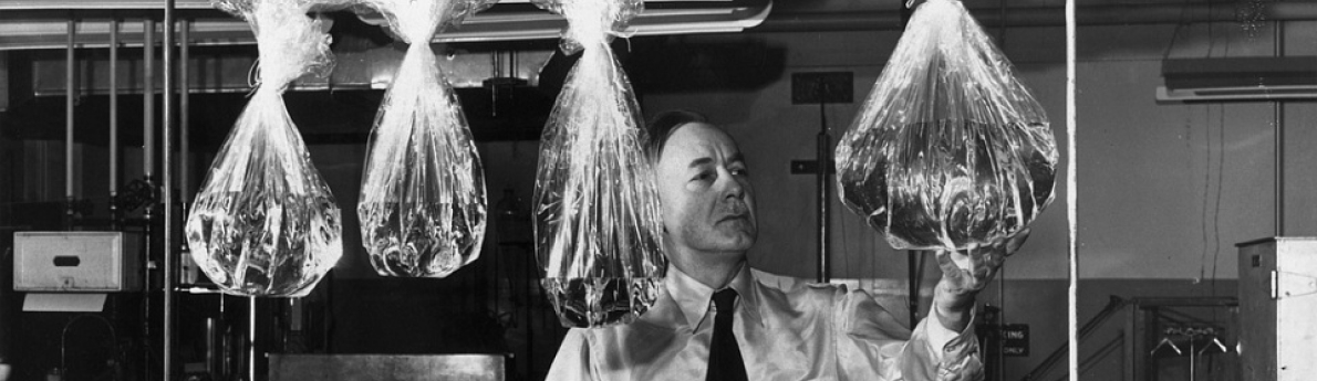 Краткая история полиэтиленового пакета