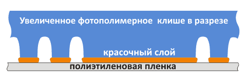 Флексоформа в разрезе схема